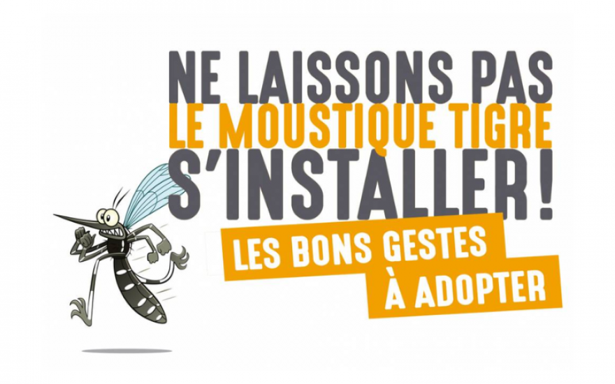 Lire la suite à propos de l’article Retour du moustique tigre, soyons vigilants !