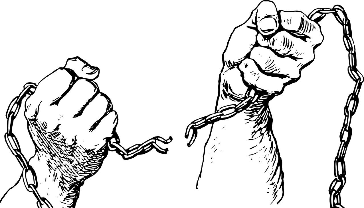Lire la suite à propos de l’article 3C : Organisation de la journée commémorative du souvenir de l’esclavage et de son abolition
